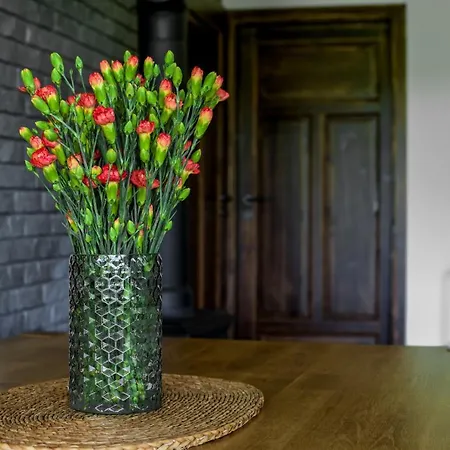 Krzywe Zwierciadlo דירה *