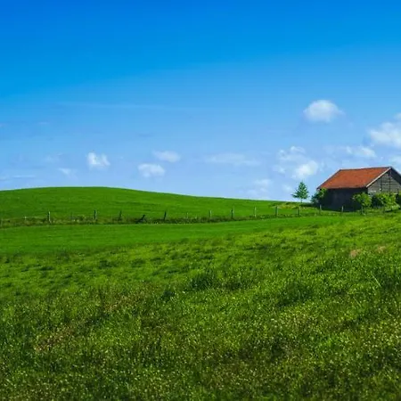 Krzywe Zwierciadlo Lejlighed Mrągowo