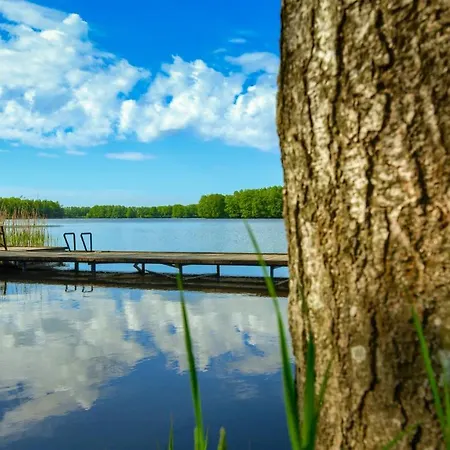 Krzywe Zwierciadlo מארנגובו