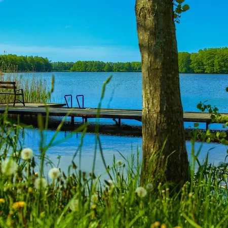 Krzywe Zwierciadlo Lejlighed *